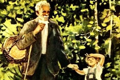 Лесная тропинка — Соколов-Микитов И.С. Рассказ про лес.